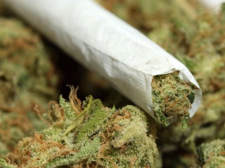 Arizona Supports Marijuana Legalization