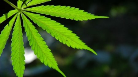 Oregon Legislators Approve Measures Reducing Penalties for Marijuana Possession