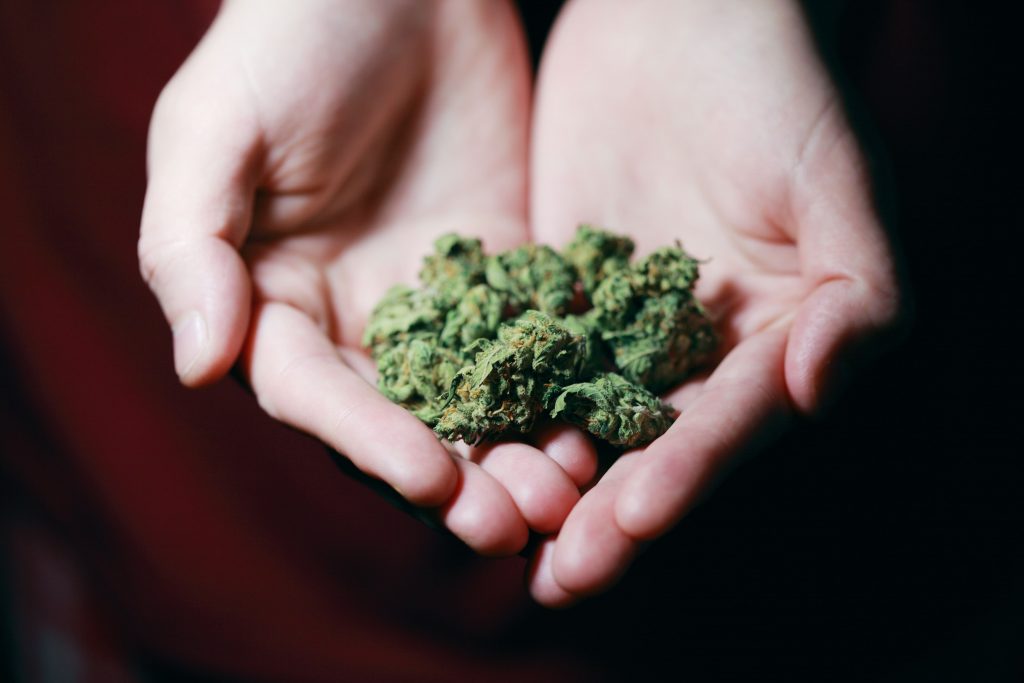 Мир после легализации: плюсы и минусы легальной марихуан